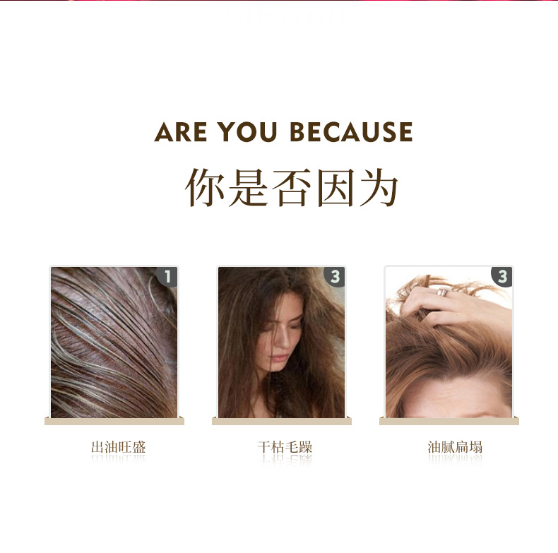 玫瑰柔顺洗发露_03