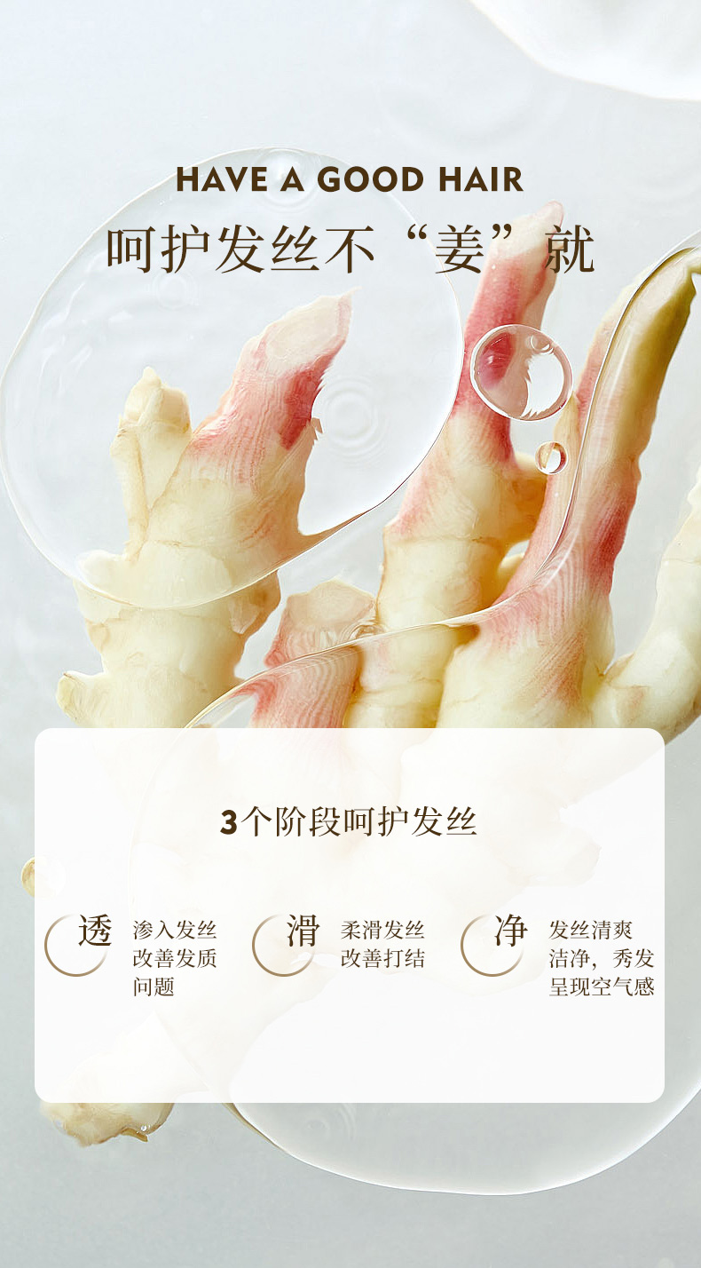 姜根洗发露_08